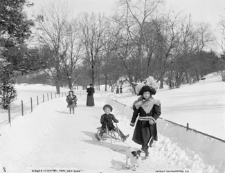 In Central Park, New York